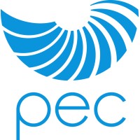 P. E. Concepts GmbH Logo