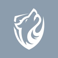 Blue Wolf Assets Logo