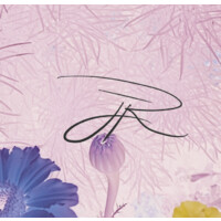 Jay Roberts Logo