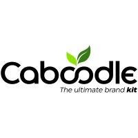 Caboodle Consultants Logo