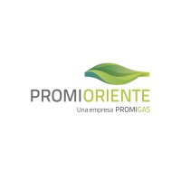 Promioriente Logo