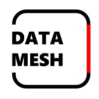 Data Mesh Limited Logo