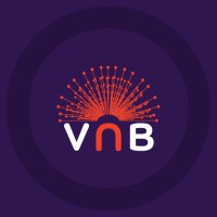 Virtual Nation Builders - VNB Logo