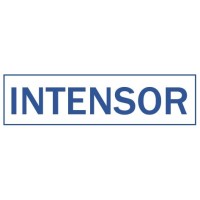 intensor consultancy Logo