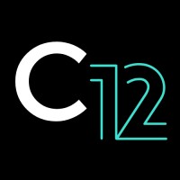 Cabinet 12 Logo