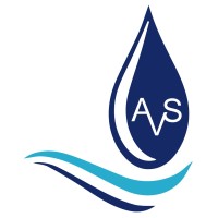 AVS IMPORTAÇÃO E EXPORTAÇÃO LTDA Logo