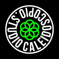 Caleidoscopio Studio Films Logo