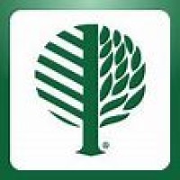 Matson Insurance Logo