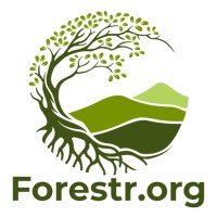 Forestr.org Logo