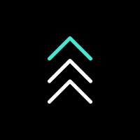 Peak Artificial Intelligence Logo