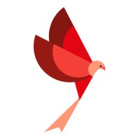 Red Kite Rape & Sexual Abuse Support Service Logo
