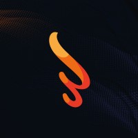 BSM - Sport Management Logo