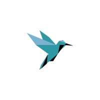 Colibrì Vision Logo