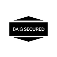 Baig Security Logo