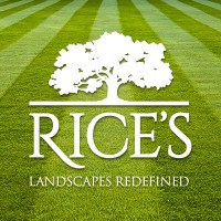 Rices Logo