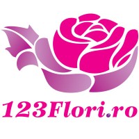 123Flori.ro Logo
