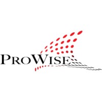 ProWise, a.s. Logo