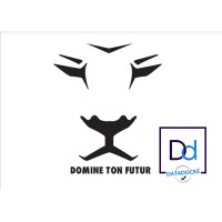 Domine Ton Futur Logo