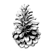 Québecium bistro - bar - épicerie fine Logo