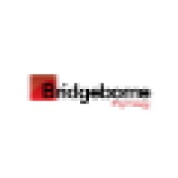 Bridgeborne Psychology Logo