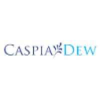 CaspiaDew IT Innovations Pvt Ltd Logo