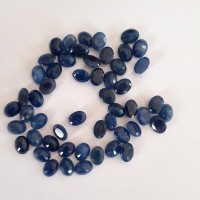 shah gems and jewelry manufacturing co. Logo