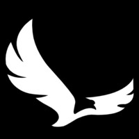Eaglytics Co. Logo