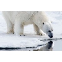 Schrijfbureau Maxpressive Writing Logo