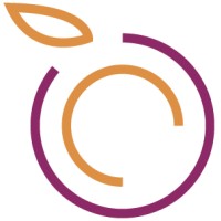 BLUEBERRY DIGITAL SERVICES Logo