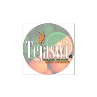 Tejaswi Space Solution Pvt ltd Logo