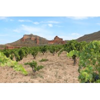 Majuelos Iberia SL Logo