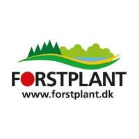 Forstplant Logo