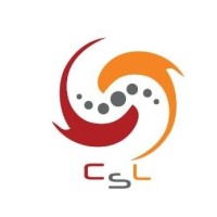 Code Solution Lab Logo