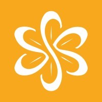 Solarview MX Logo