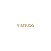 Testudo s.r.l Logo