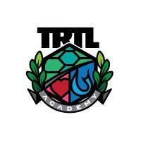 Turtle Academy & Ventures Logo