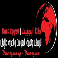 Data Egypt Company Logo