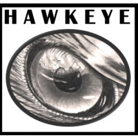 Hawkeye Music Group Logo