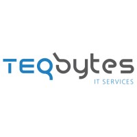 TEQbytes Inc. Logo