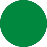 Solid Försäkring Logo