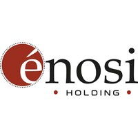 Enosi Holding S.p.A. Logo