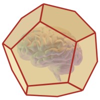 Codeball (YC W21) Logo