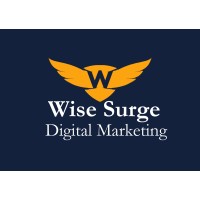 WiseSurge Logo