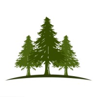 Springview Capital Management LP Logo