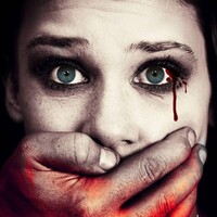 Shadow of the Run, LLC Logo