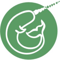 Narwhal Software srl Logo