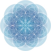 Fractal Designs LLC Logo