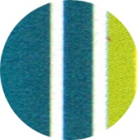 Anubhav Chopra CPA P.C. & Associates Logo