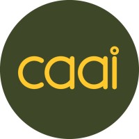 caai.cc Logo