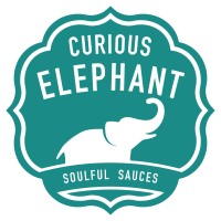 Curious Elephant Logo